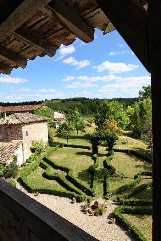 Chateau De Mayragues Castelnau-de-Montmiral Exterior foto