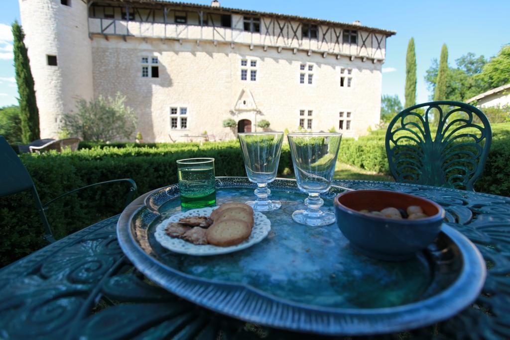 Chateau De Mayragues Castelnau-de-Montmiral Exterior foto
