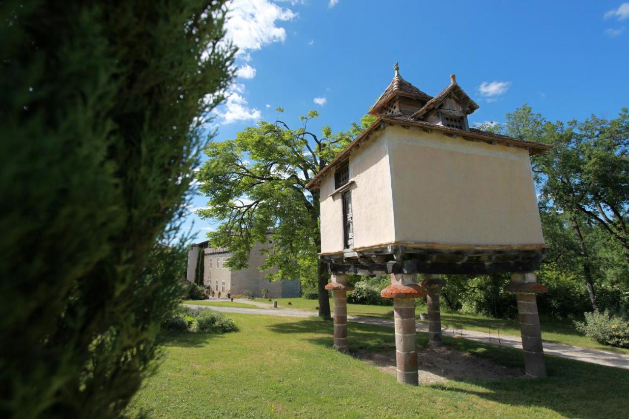 Chateau De Mayragues Castelnau-de-Montmiral Exterior foto